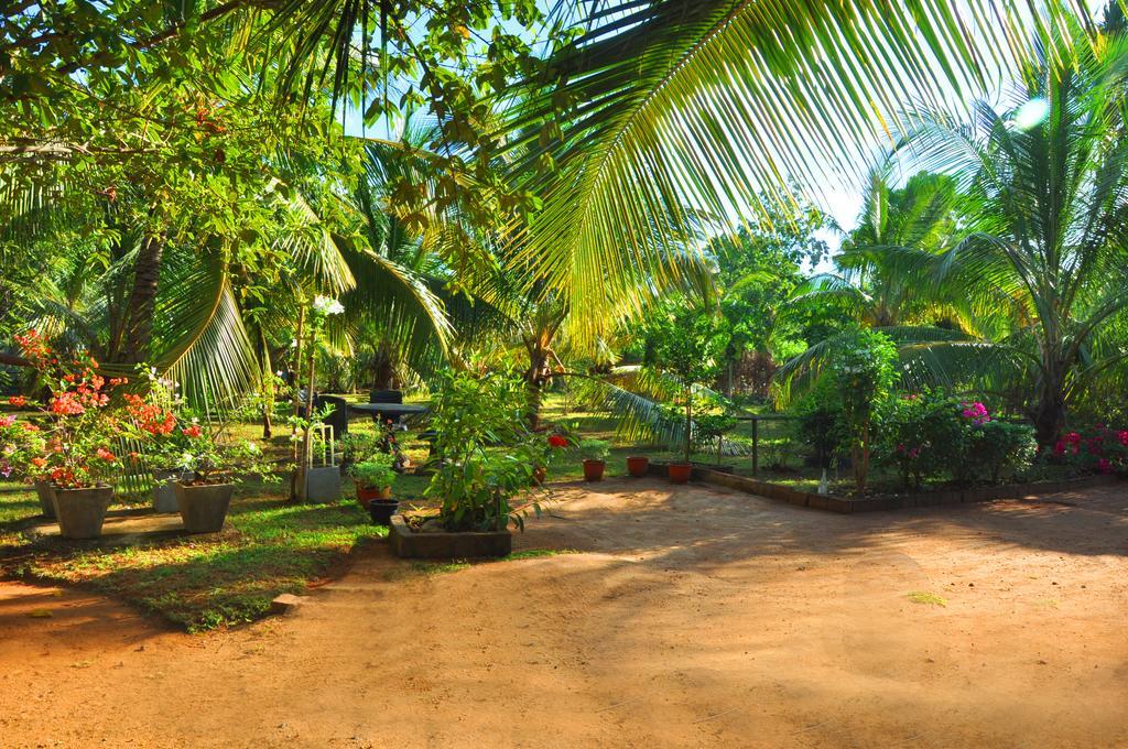 Coconut Garden House Hotel Udawalawe Exterior photo