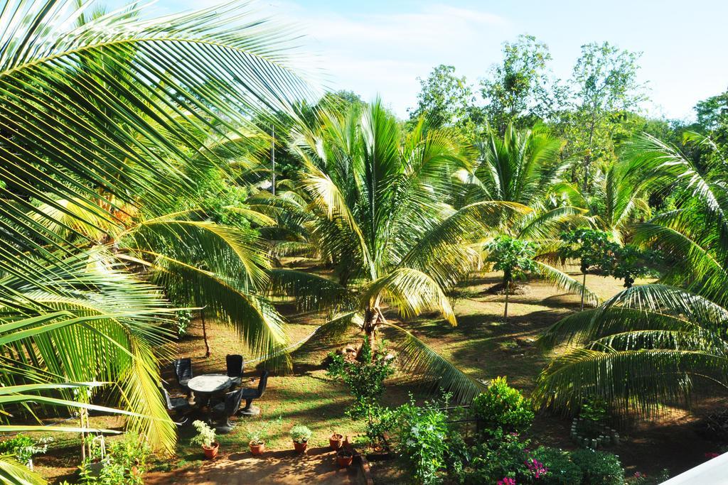 Coconut Garden House Hotel Udawalawe Exterior photo